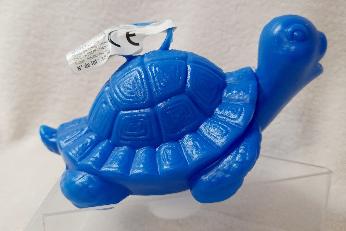 TORTUE PECHE 14CM X4PCS (CO2002)